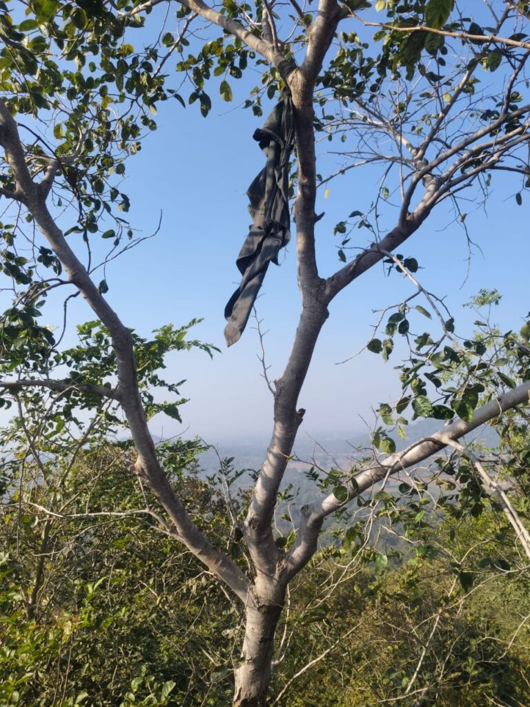 REWA NEWS:लापता युवक की जंगल में लाश मिलने से मचा हड़कंप…