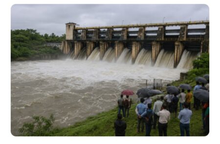 REWA NEWS:जिले में बारिश का जोर कायम, तराई में बढ़ा नदी-नालों का जलस्तर…